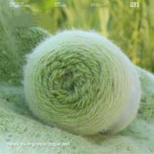 200克渐变长绒毛纱线 - 手工编织纱线，适用于帽子、围巾、服装、DIY工艺品 - 多色 - 查看 14