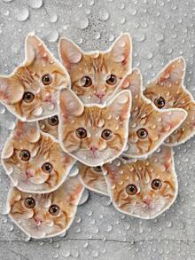 1-100pcs Stiker Foto Hewan Peliharaan Kustom, Stiker Nama Hewan Peliharaan yang Dipersonalisasi, Stiker Vinyl Tahan Air untuk Laptop, Botol Minum, Casing Ponsel, Dekorasi, Hadiah Dekoratif Multifungsi, Holografik Ajaib - beraneka warna - View 4