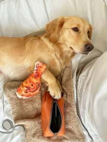 1pc Chicken Leg Design Pet Grinding Teeth Squeaky Toy, Durable Chew Toy For Dog Interactive Supply - Multicolor - View 7