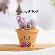 1pc Natural Crystal Mini Raw Stone Clay Pot Base Amethyst Quartz Healing Gemstones Potted Plant Style Crafts Feng Shui Home Hecoration Mini Garden Landscape - Red Clay Raw Stone Ore - View 16