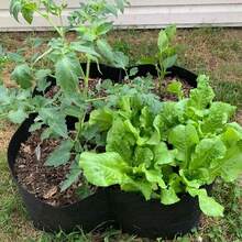 1套1/2件装布艺高架花坛分隔式蔬菜种植袋，配3件园艺工具，4/8分隔网格方形高架花盆，适用于户外花园种植胡萝卜、洋葱、香草、花卉、蔬菜植物。 - 彩色 - 查看 3