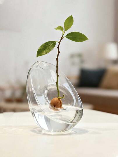 4,6-calowy szklany wazon do sadzenia awokado, duży wazon do uprawy awokado, pojemnik do kiełkowania i sadzenia nasion awokado, wazon do sadzenia awokado w domu, zestaw do sadzenia awokado, prezent dla entuzjastów ogrodnictwa