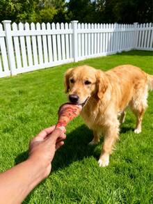 1pc Chicken Leg Design Pet Grinding Teeth Squeaky Toy, Durable Chew Toy For Dog Interactive Supply - Multicolor - View 5