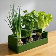1pc Scallion Replanting Planter, Hydroponic Reusable Planter For Repeated Harvesting, Simple Home Use, Soil-Free Hydroponic Box, Ideal Planting Tool - Multicolor - View 5