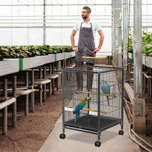 Bird Cages - E - View 6