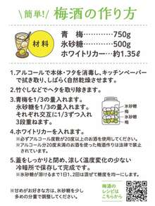 パール金属 保存容器 梅酒瓶 梅瓶 3L 果実酒 漬物 角型 PET樹脂製 日本製 軽くて割れにくい HB- 6935 - 3L - チェックする 2