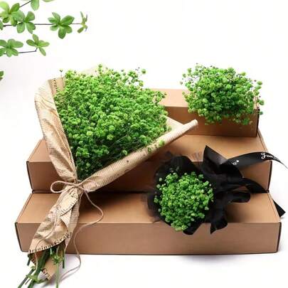 2000+ Stems Dried Baby's Breath Flower Bouquet - 16" Ivory White Preserved Real Flowers Bouquet, Multicolor Preserved Fresh Flower Bouquet, Vase Filler Branches, For Wedding Decor, Tabletop Centerpiece, Home Decor, DIY Floral Craft