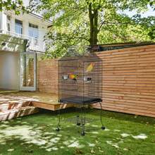 Bird Cages - B - View 4