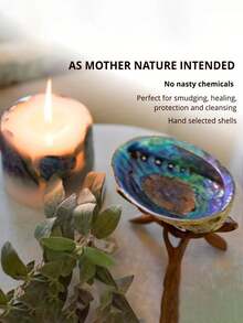 1pc Large Natural Abalone Shell Bowl - Rainbow Smudge Burner And Incense Holder, Wooden Shell Suitable For Sage, Meditation, Yoga Studio, Camping, Rainbow Shell Bowl - Home And Outdoor Decor - Multicolor - View 5