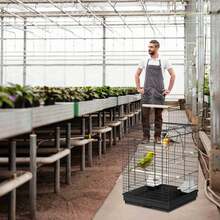 Bird Cages - D - View 7