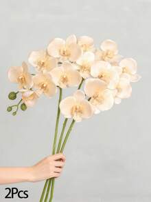 1/2支精美仿真香槟兰花，每支花茎有9朵栩栩如生的大兰花，适合DIY花束、花艺装饰、家居装饰、派对装饰、婚礼用品、桌面装饰、花墙、卧室装饰、客厅装饰和房间装饰。 - 彩色 - 查看 8
