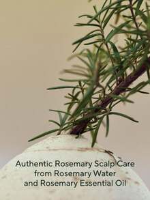 Aromatica Root Strengthener, Scalp Care Serum, Hair Strengthening Essence, Suitable For Fine Hair Care, Volumizing Hair Roots, Non-Greasy Formula, Daily Scalp Care 100ml/3.3 Fl.Oz - 100ml - View 4