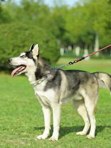 Adjustable Spiked Dog Collar, Suitable For Small, Medium And Large Dogs, For Walking, Training And Hunting - Multicolor - View 11