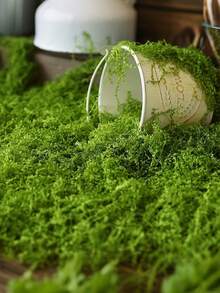 耐用人造仿真苔藓草坪，适用于玻璃容器、花盆和花园景观，具有自然绿色苔藓质感，非常适合家居和花园装饰，室内外均可使用。 - 彩色 - 查看 10