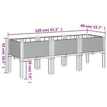 vidaXL Pflanzkasten Mit Beinen Schwarz 120x40x42 Cm PP - A - Übersicht 7