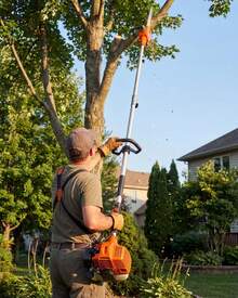 Motosierra de Pértiga a Gasolina - Motor 2T de Alto Rendimiento con Barra de 12 Pulgadas y Alcance de 2.9 m para Poda de Árboles - 52 cc - Ver 9