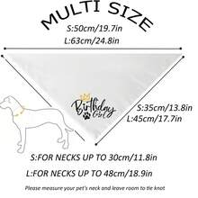 新款狗狗生日头巾，生日派对宠物配饰，6种颜色可选，狗狗猫咪生日围巾/领巾 - 彩色 - 查看 2