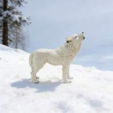 Tượng sói Bắc Cực thu nhỏ, mô hình đàn sói hoang dã mini để trang trí nhà cửa, chất liệu nhựa, đồ thủ công trang trí nghệ thuật nhà cửa, trang trí phòng khách, lối vào, tủ TV, quà tặng bạn bè, quà tặng hoàn hảo cho Ngày của Cha. - Nhiều màu - Xem 7