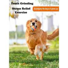 耐咬凹槽橡胶发声球玩具，高弹互动训练球，缓解宠物焦虑，狗狗玩具 - 彩色 - 查看 4