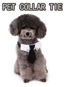 黑色蝴蝶结宠物狗燕尾服双色狗项圈双色狗围兜燕尾服蝴蝶结英式领带正式狗服狗礼服领带宠物婚礼蝴蝶结狗燕尾服项圈狗生日配饰，可调节，黑色蝴蝶结柔软透气，可调节，带快拆扣，适合猫狗，日常外出、遛狗、婚礼、生日派对和摄影 - 彩色 - 查看 11