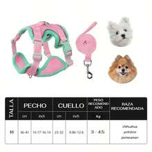 UNA MASCOTA Pet Collars, Leashes & Harnesses Sets - Violet Purple - View 7