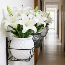 4 pezzi Piccoli vasi idroponici pigri, vasi in plastica trasparenti a doppio strato, vasi autoinaffianti con corda di cotone assorbente, accessori per la cura delle piante da interno ed esterno, balcone e scrivania - A - Visualizzare 4