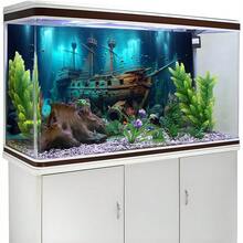 沉船水族馆背景画,海洋宝藏骷髅主题水族馆贴纸,水下探险主题,高清材质,逼真场景,水族馆/海龟缸装饰贴纸,水族馆景观装饰,营造神秘水下氛围 - A - 查看 6