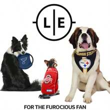 All Pro - tazón para Mascotas  Cowboys L-B031 - Pequeño - Ver 3
