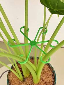 4件装植物攀援茎支撑架，4种尺寸，植物支撑固定件，坚固的茎夹，适用于攀援植物 - 塑料材质，或室内攀援植物，植物支撑架，花卉植物支撑架，茎钩生长配件，适用于植物和花卉 - 彩色 - 查看 18