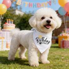 新款狗狗生日头巾，生日派对宠物配饰，6种颜色可选，狗狗猫咪生日围巾/领巾 - 彩色 - 查看 3