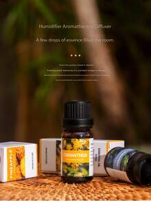 10ml Fruit Fragrance Essential Oils, Including Pineapple, Strawberry, Honey, Mango, Watermelon, Chocolate, White Tea, Cherry Blossom, Cantaloupe, Mango, Rose, Jasmine, Lemon, Peppermint, Apple, Sandalwood, Peach, Watermelon, Vanilla, Banana, Lavender, Coconut. Aromatherapy To Uplift Mood, Suitable For Diffusers, Wax Melts, Home Fragrance. 20+ Scents, Best Selling, Zero Profit Promotion, Increasing - Fruity Floral Fragrance - View 3