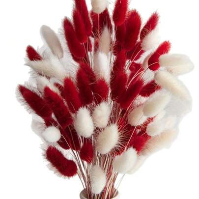 60/120/180/240 片装天然干花装饰，天然干兔尾草花，干蒲苇草，用于家居装饰、婚礼装饰、派对装饰、DIY 手工艺品、拍摄道具、主题装饰，17.7 英寸