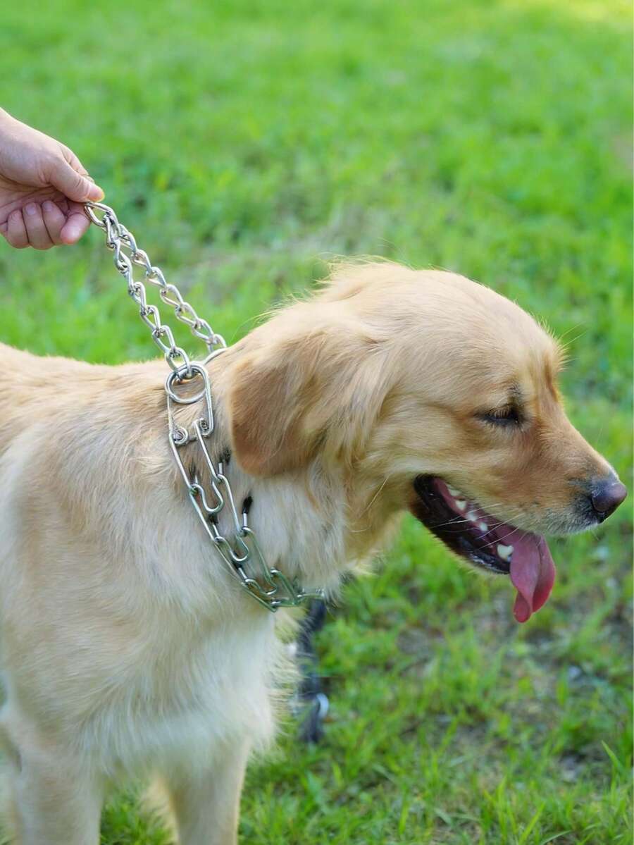 Adjustable Spiked Dog Collar, Suitable For Small, Medium And Large Dogs, For Walking, Training And Hunting - Multicolor - View 1