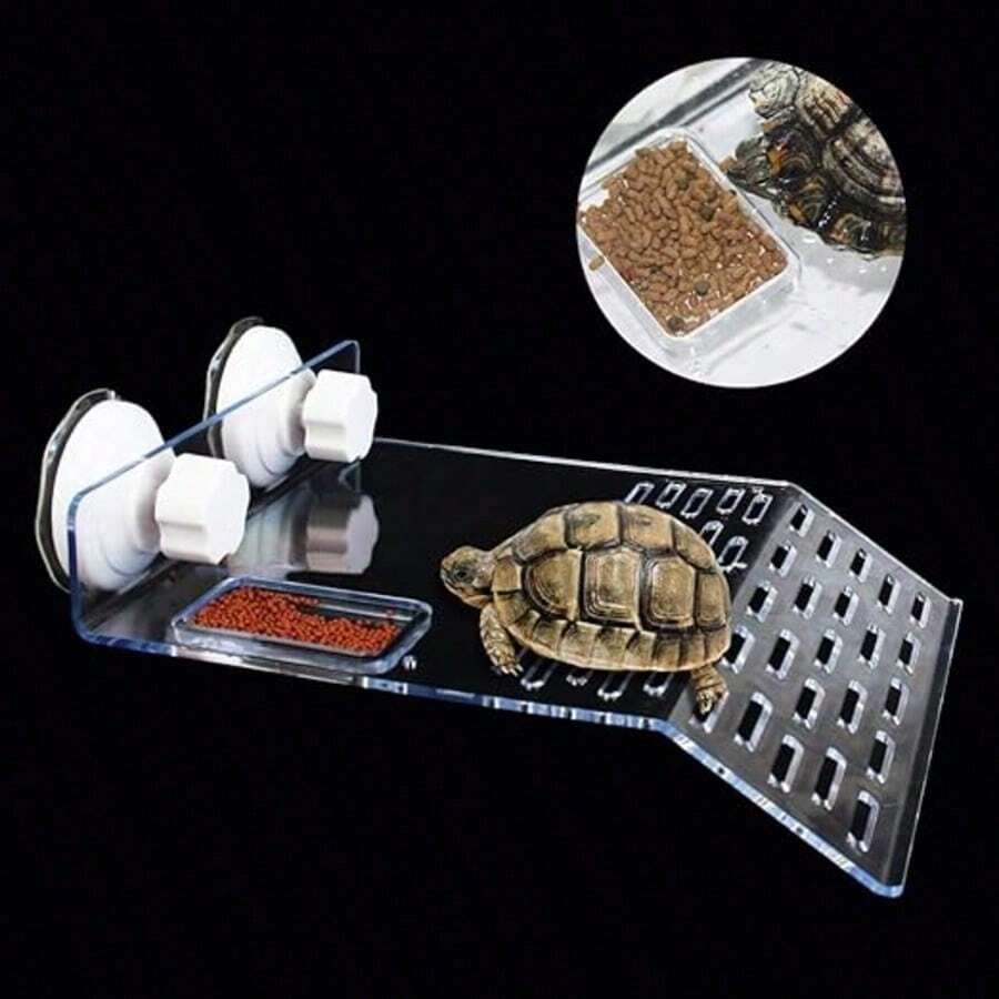 1pc Turtle Basking Platform, Transparent Aquarium Bottom Stand, Reptile Habitat, Turtle Tank Floating Decor With Suction Cup Lid - Clear - View 1