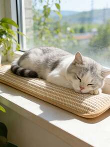 猫咪互动训练玩具 - 玩具 - 查看 6