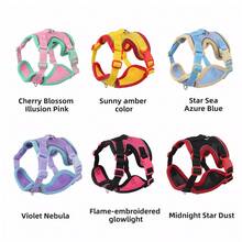 UNA MASCOTA Pet Collars, Leashes & Harnesses Sets - Violet Purple - View 10