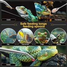Quelong 2pcs Reptile Feeding Tongs, Feeding Spoon, Stainless Steel Aquarium Feeding Tools, Curved Long Tweezers 10.6 In, Long Spoon 10 In (Coffee Spoon) For Feeding Lizards, Bearded Dragons And More. - / - View 7
