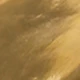 金色