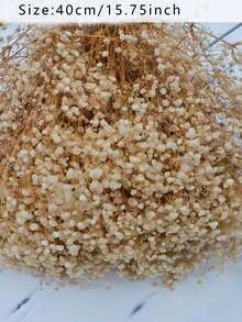20/50/100/150/300pcs Mini Gypsophila & Other Dried Flowers - For Resin Mold Art & Crafts, Ivory White Bouquet For Hair Accessories, Wedding Wreaths, Table Decor, Home Decoration - Beige - View 16