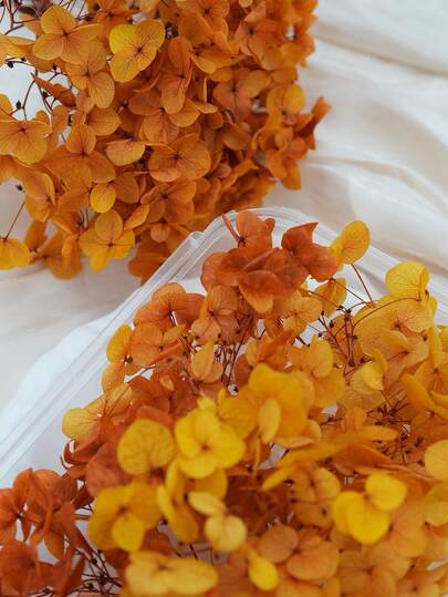 120/250/500/1000pcs Multi-Color Dried Hydrangea Flowers - Ideal For DIY Crafts, Candles, Weddings, Handmade Projects, Christmas