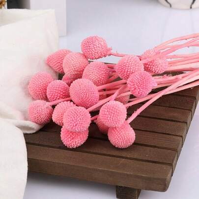 10/20支金槌花干花，黄色纽扣树花束，直径约1.5英寸，适用于家居装饰、摄影道具、DIY婚礼装饰