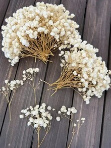 20/50/100/150/300pcs Mini Gypsophila & Other Dried Flowers - For Resin Mold Art & Crafts, Ivory White Bouquet For Hair Accessories, Wedding Wreaths, Table Decor, Home Decoration - Beige - View 12