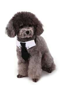 黑色蝴蝶结宠物狗燕尾服双色狗项圈双色狗围兜燕尾服蝴蝶结英式领带正式狗服狗礼服领带宠物婚礼蝴蝶结狗燕尾服项圈狗生日配饰，可调节，黑色蝴蝶结柔软透气，可调节，带快拆扣，适合猫狗，日常外出、遛狗、婚礼、生日派对和摄影 - 彩色 - 查看 6