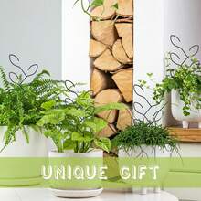 Minimalist Metal Plant Support For Climbing & Upright Plants - B-đen - Xem 5