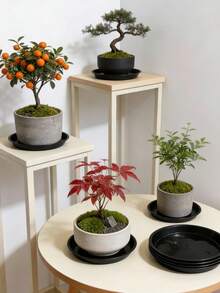 12/6个6.29英寸塑料植物托盘，适用于室内、鸟浴盆、花卉植物浇水，圆形塑料滴水托盘，适用于室内外花园植物，收集盆栽排水和多余水分 - 圓形 - 查看 2