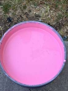 Pintura Vinil Acrílica Interiores Exteriores Yen Kolor Alta Cobertura Secado Rápido Acabado Uniforme Uso Residencial Comercial- ROSA MEXICANO / PASTEL - A - Ver 4