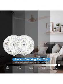 Decorative Fans - 20 Pairs - View 6