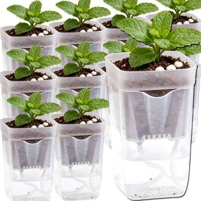 10 Pcs S/L Size Semi-Transparent Nursery Pot, Thickened Dry & Wet Double Layer Flower Pot With Drainage Holes, Durable Plastic Seedling Planting Pot For Indoor Outdoor Home Garden Supplies