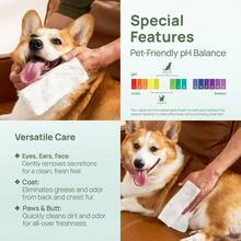 Pet Wipes, Suitable For Cats And Dogs, Veterinarian Recommended, Cleans And Deodorizes, Soothes Allergies And Infections, Gland Cleaning Wipes, Hypoallergenic Formula, Moisturizes And Nourishes Fur, Suitable For Dog Paws, Buttocks And Whole Body Care Wipes. - trắng - Xem 5