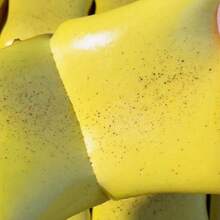 1-Piece Super Soft Butter Toast-Shaped Squeeze Stress-Relieving Toy. - The Perfect Gift For Birthdays And Holidays. - Multicolor - View 4